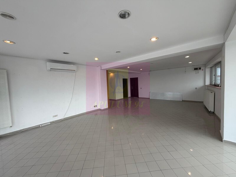 Headquarters Opportunity | Cladire Corporate 560+ mp | Theodor Pallady