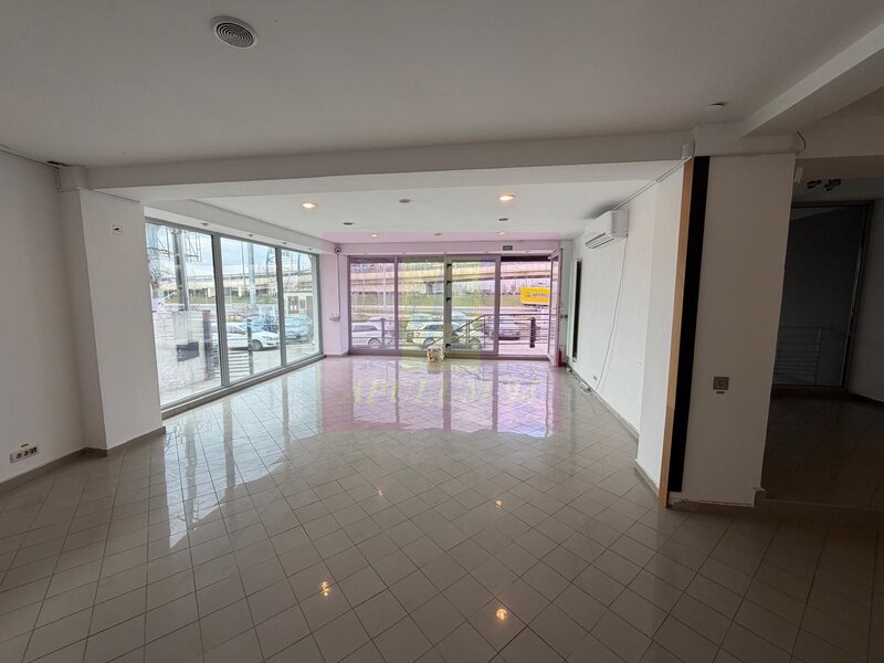 Headquarters Opportunity | Cladire Corporate 560+ mp | Theodor Pallady